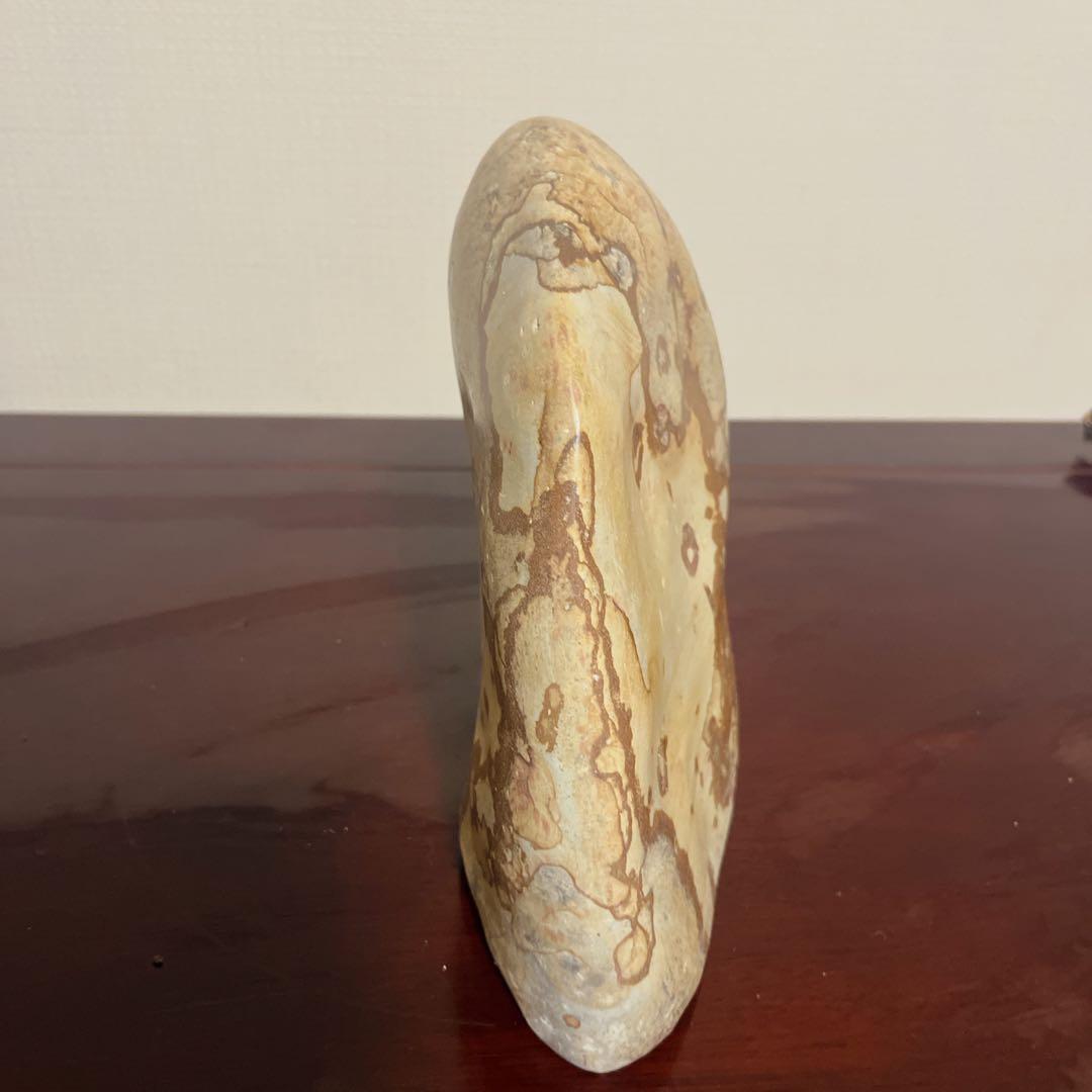 最高級鑑賞石】菊花石 20cm 紋石 水石 盆石 根尾谷 天然石 置物 - メルカリ