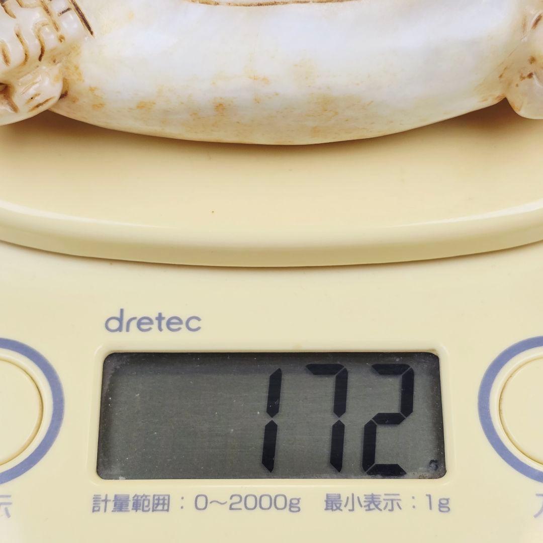 古文房具 本物和田白玉 原石 手彫 清代 双龍出郭 筆洗 筆添 墨池 水鉢 激安