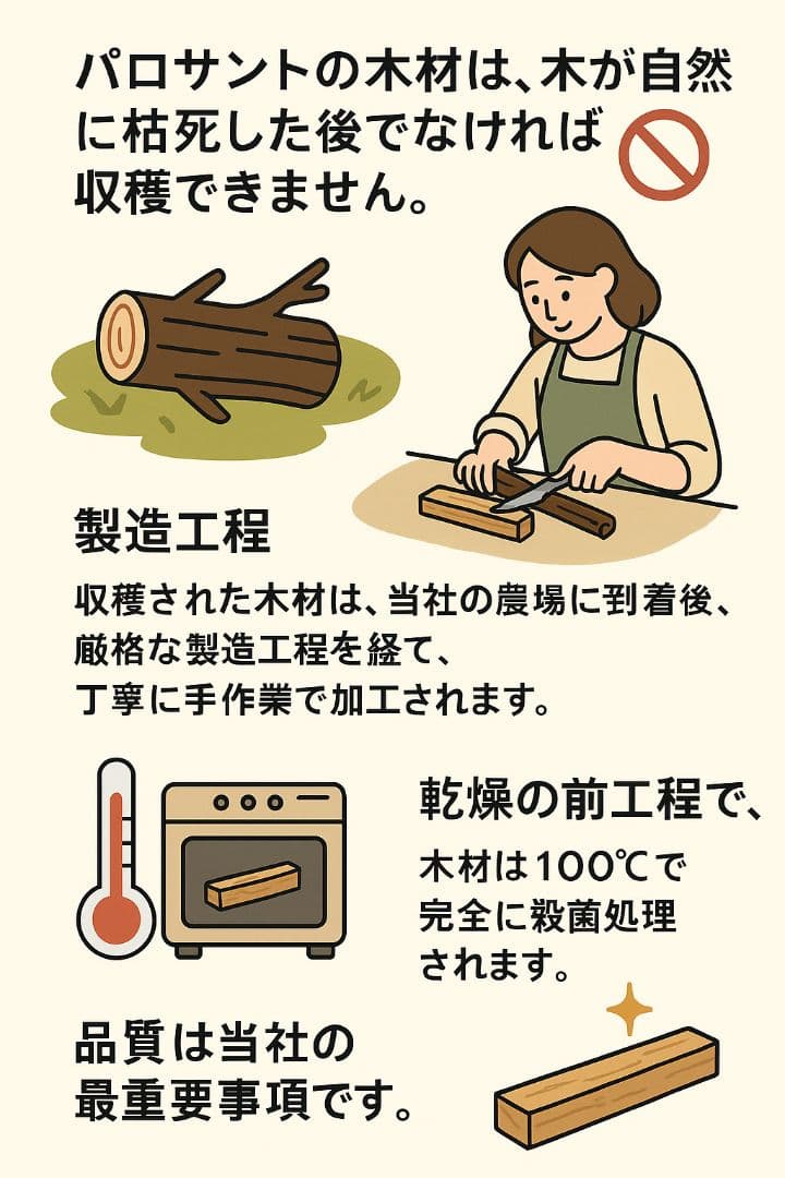 天然お香木インセンス✨️エクアドル産最高級パロサント100本説明書付浄化ＡＡＡ