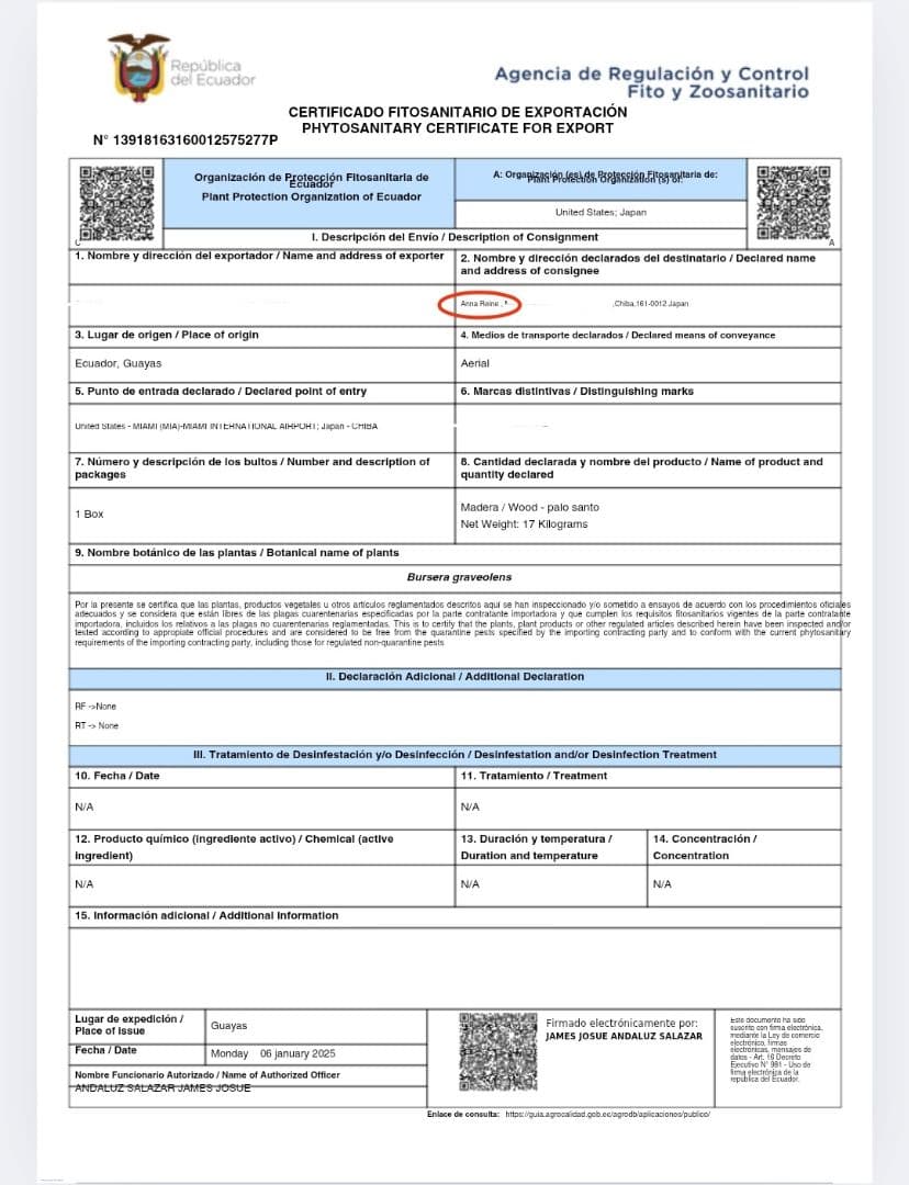 天然お香木インセンス✨️エクアドル産最高級パロサント100本説明書付浄化ＡＡＡ