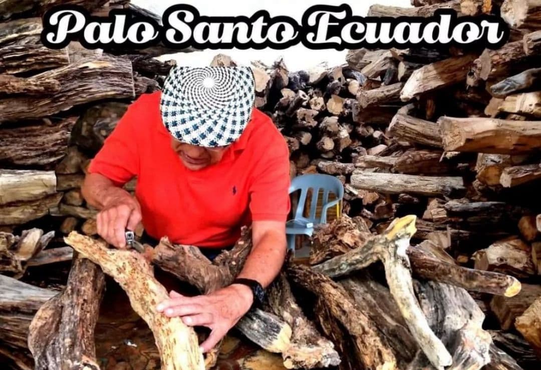 天然お香木インセンス✨️エクアドル産最高級パロサント100本説明書付浄化ＡＡＡ
