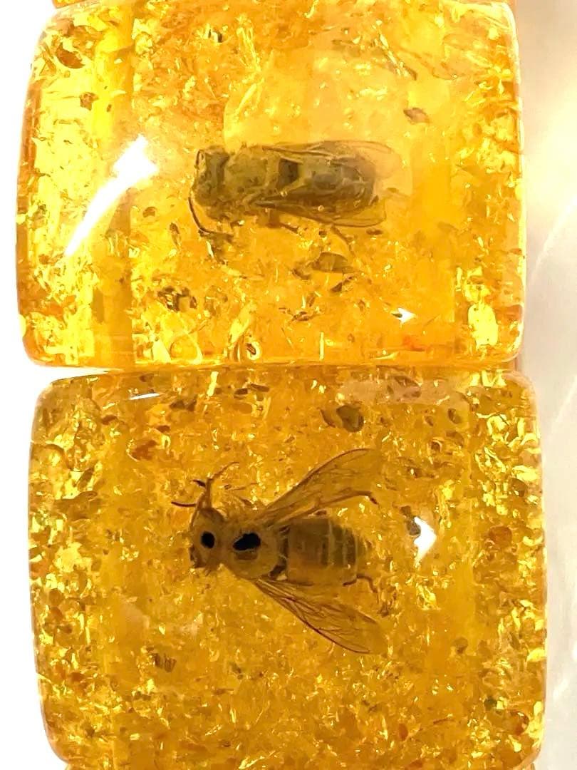 稀少　昆虫が封入された珍しいアンバー(透明な天然琥珀)ビーズ使用のブレスレット