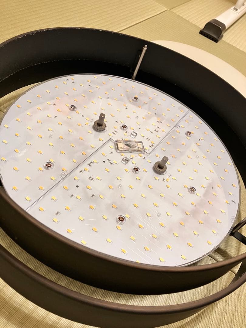 Ampoule AMP51124 ラウタ LED シーリング アンプール