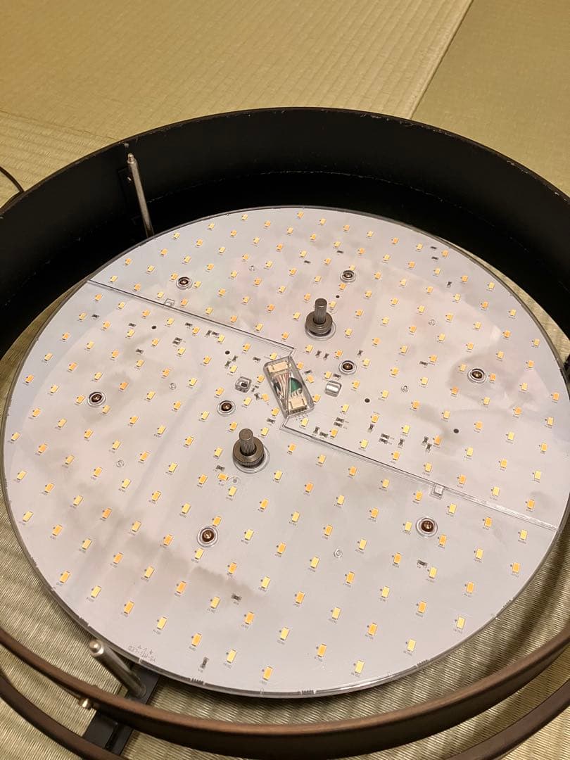 Ampoule AMP51124 ラウタ LED シーリング アンプール