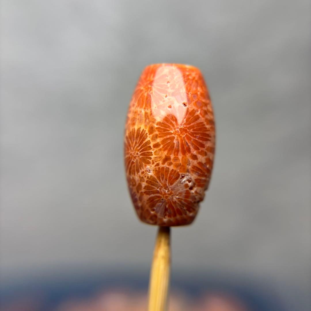 ユッキーフォッシルコーラル　天珠　1-308