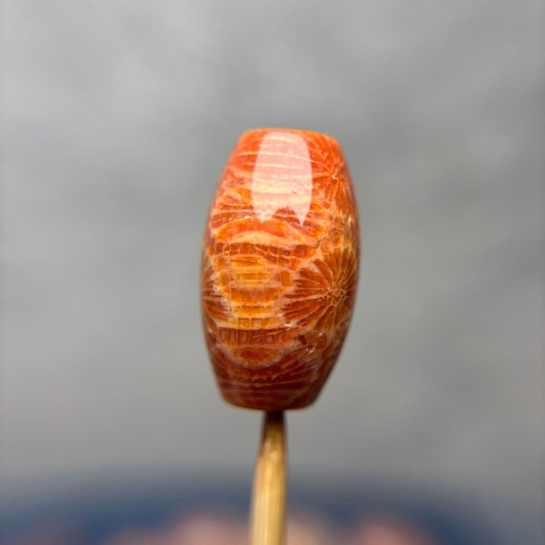 ユッキーフォッシルコーラル　天珠　1-308