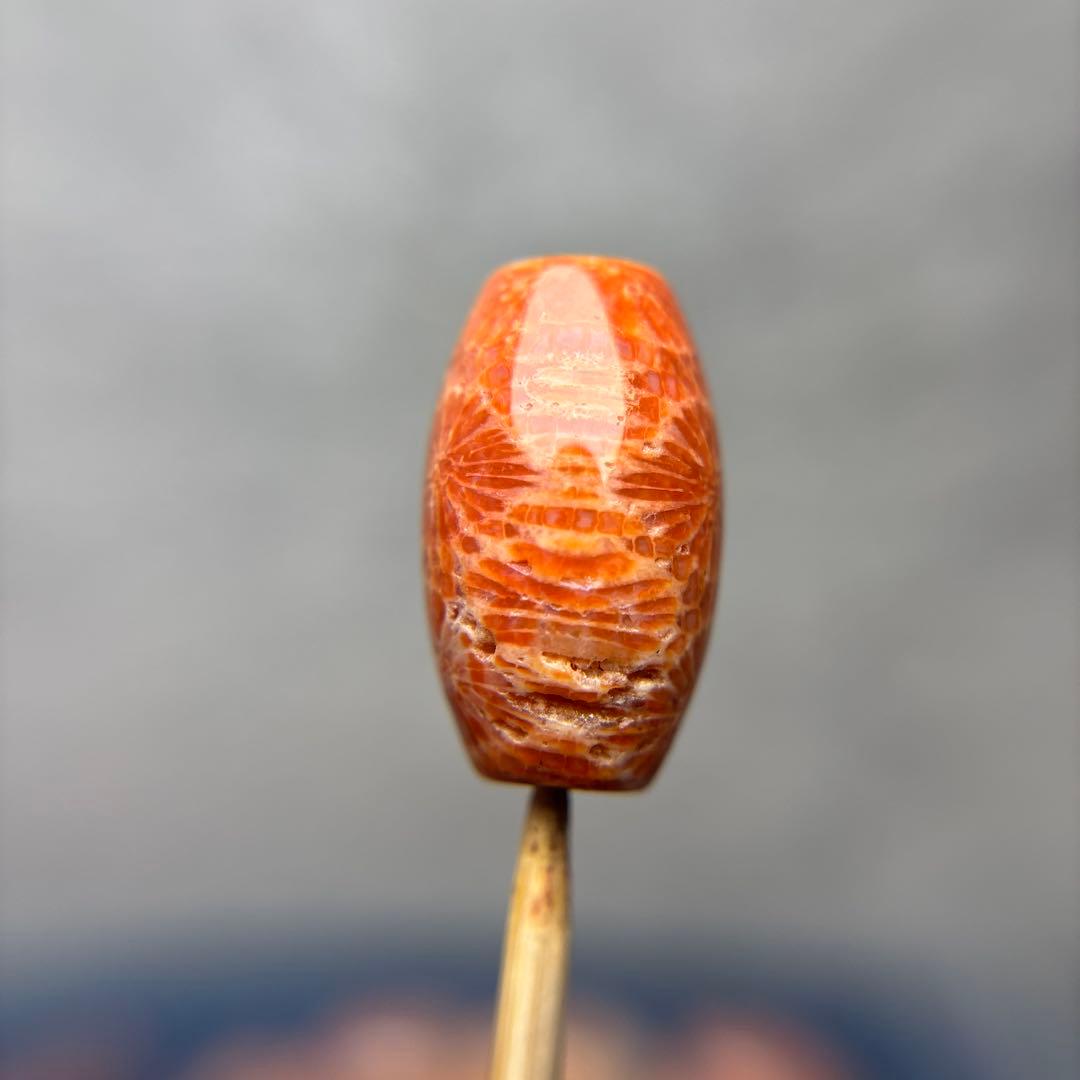 ユッキーフォッシルコーラル　天珠　1-308