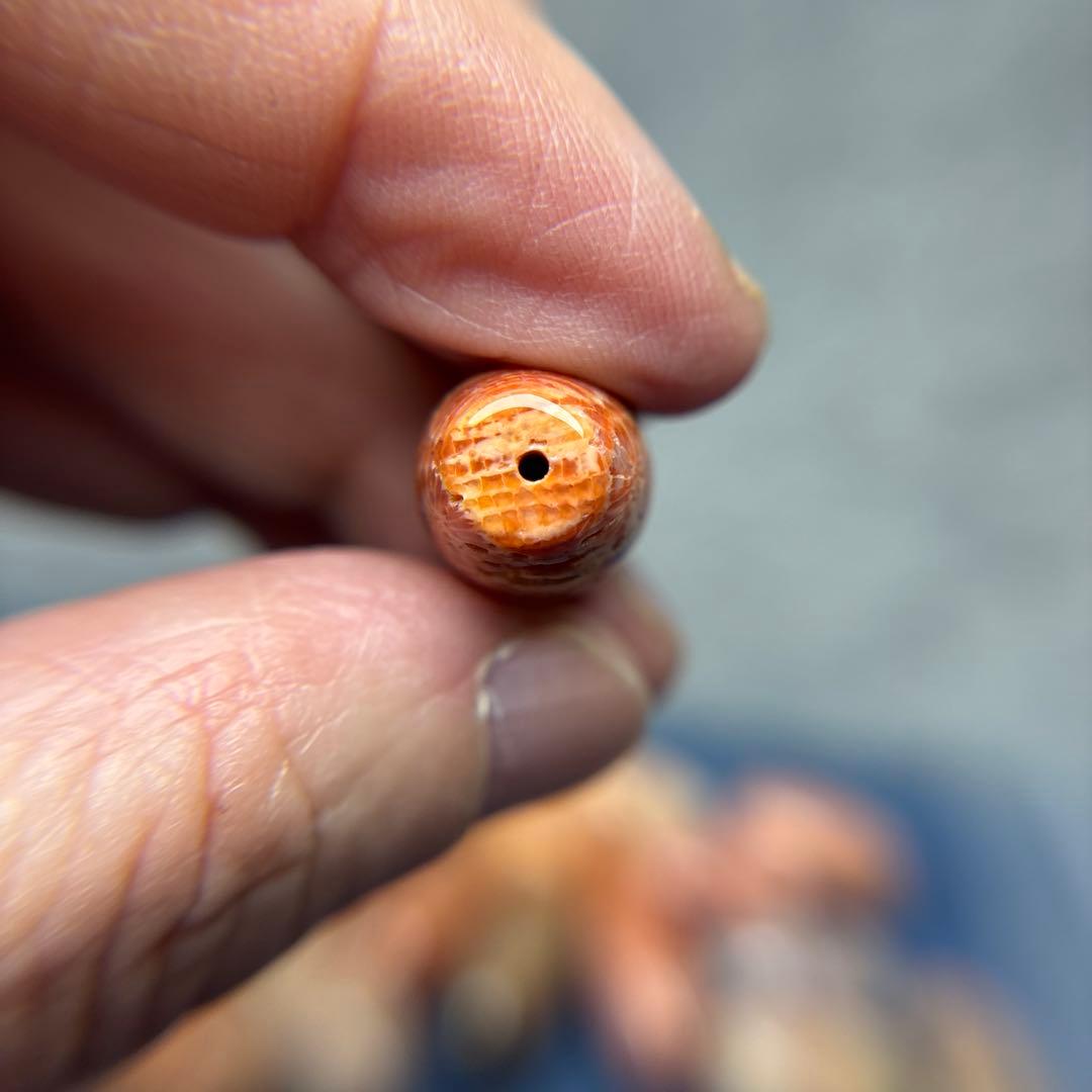 ユッキーフォッシルコーラル　天珠　1-308