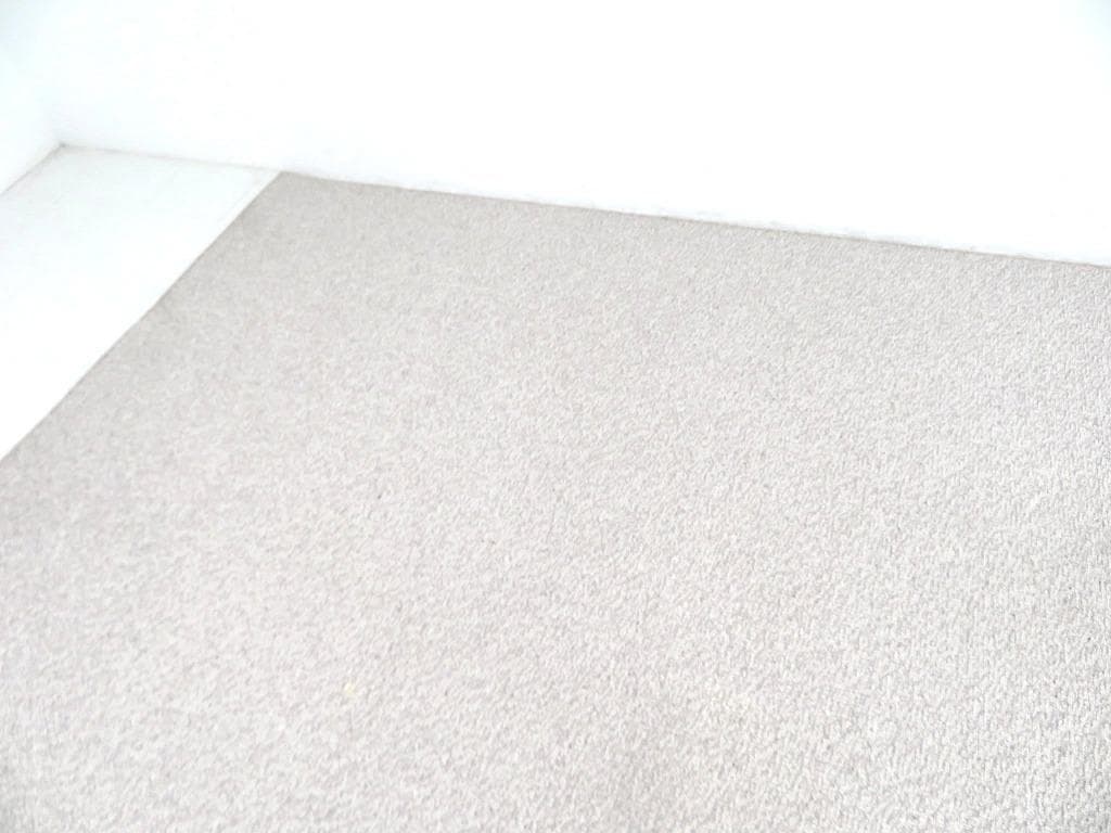 展示品　マスターウォール　スプリングヴァレー　大判　ラグ　絨毯　カーペット