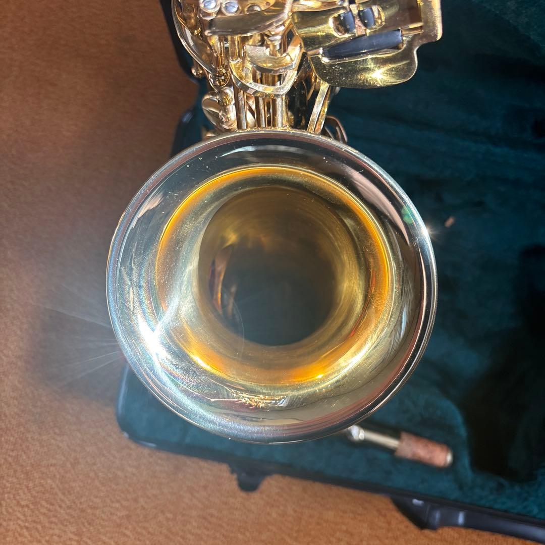 Kaerntner ケルントナー　アルトサックス 本体とケース付き