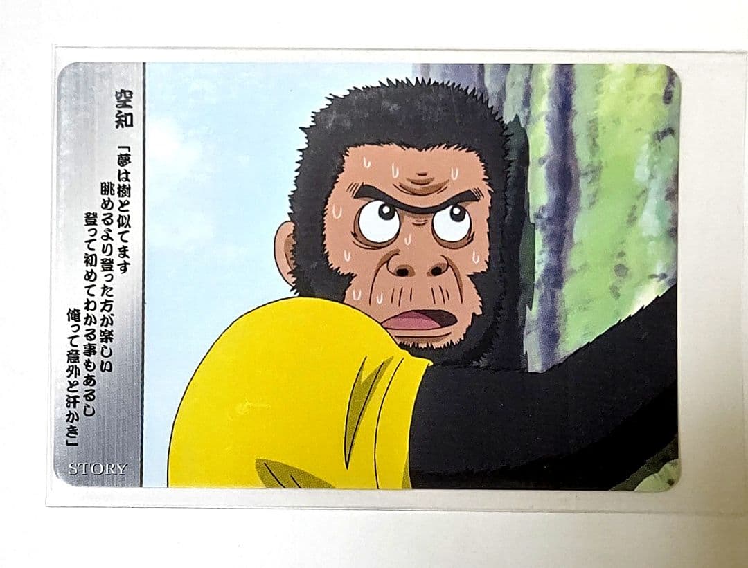 V-205 銀魂 クリアコレクション V 作者のゴリラ 空知英秋 カード