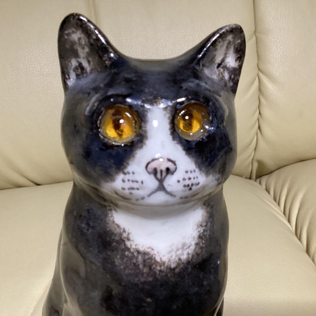 ウインスタンレイ女子のケンジントンキャットサイズ３の子