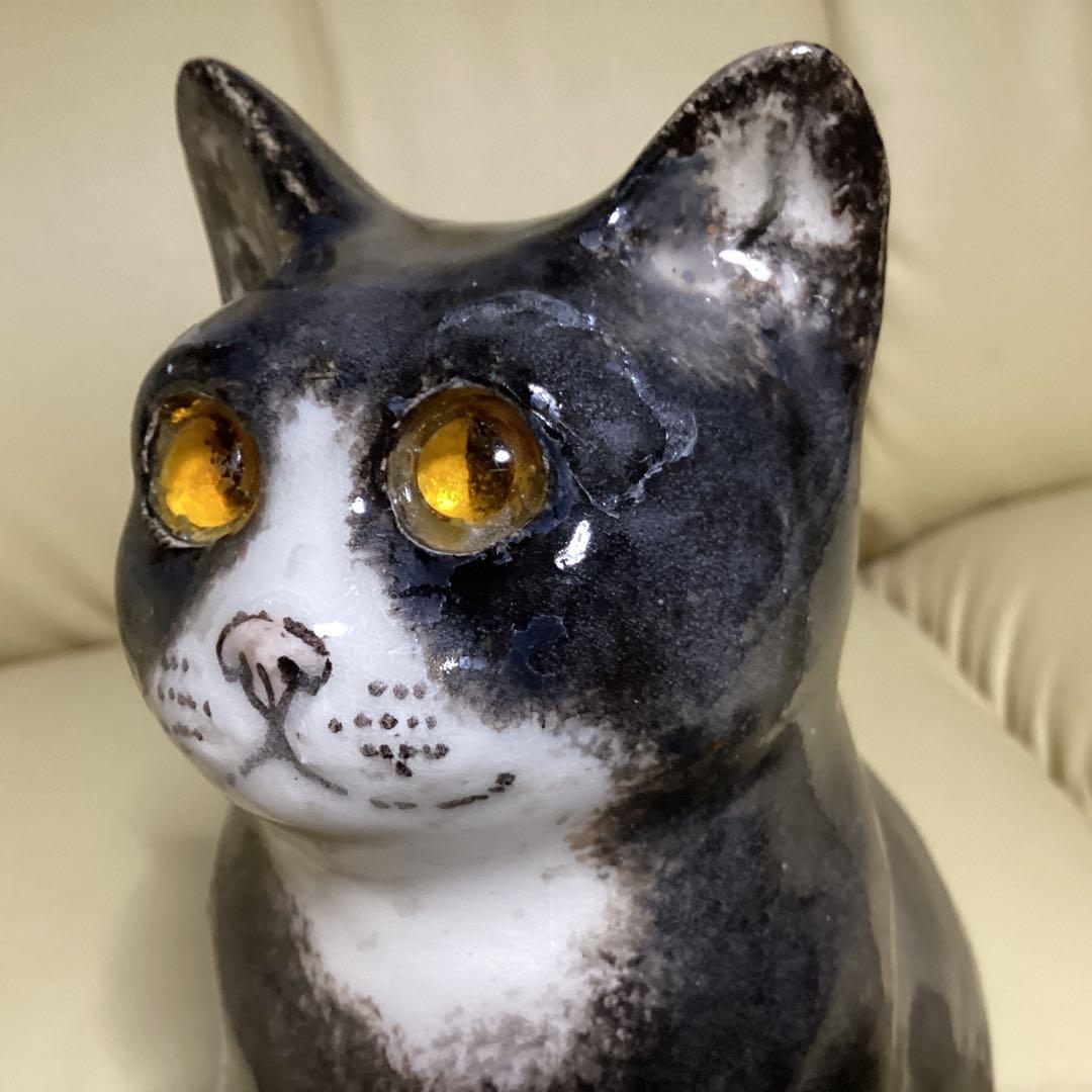 ウインスタンレイ女子のケンジントンキャットサイズ３の子