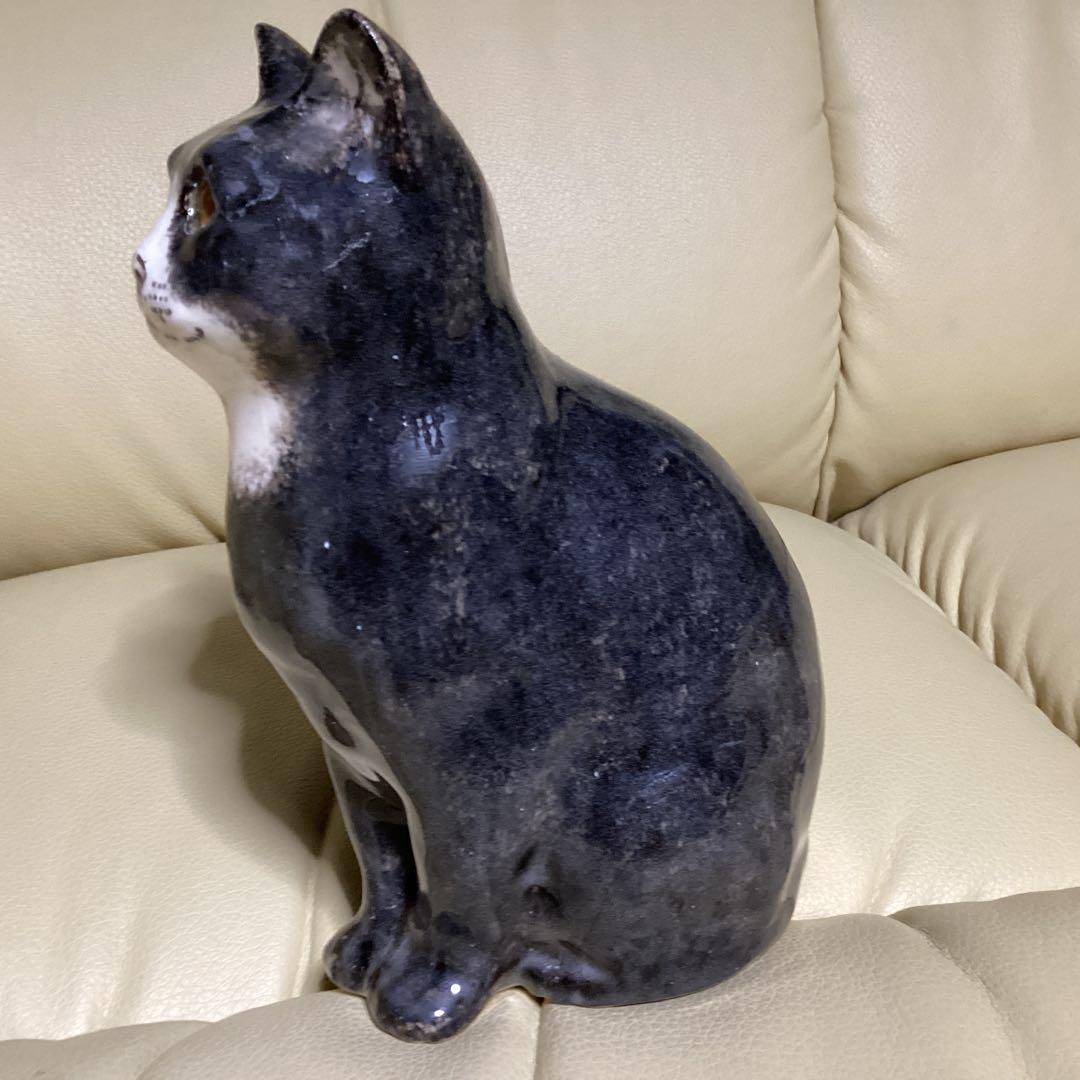 ウインスタンレイ女子のケンジントンキャットサイズ３の子