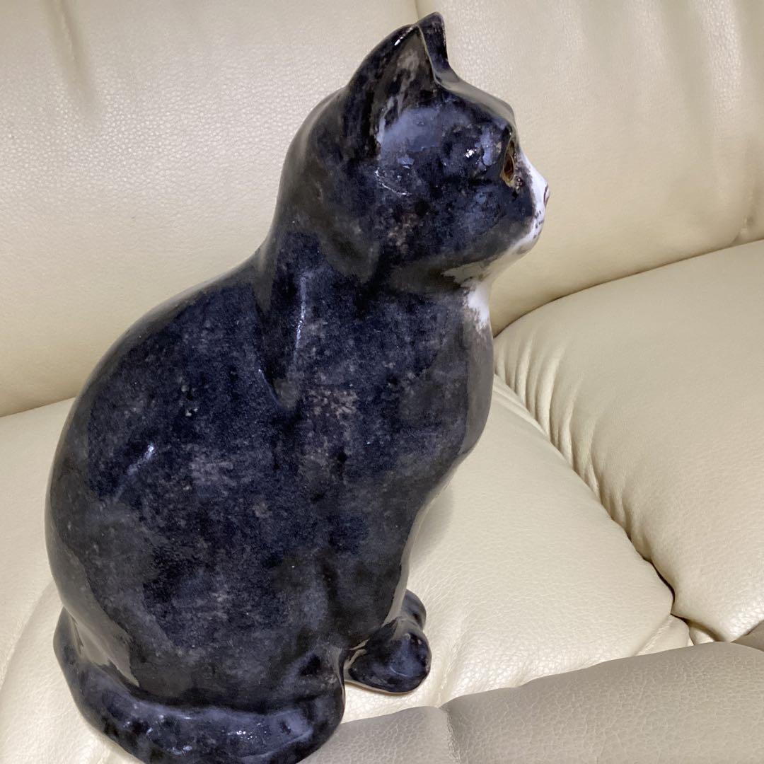 ウインスタンレイ女子のケンジントンキャットサイズ３の子