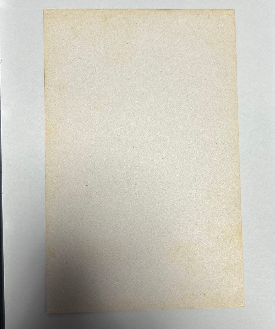 ドラゴンボール カードダス100 台紙 当時物 本弾 第8弾 ドラゴンボールZ