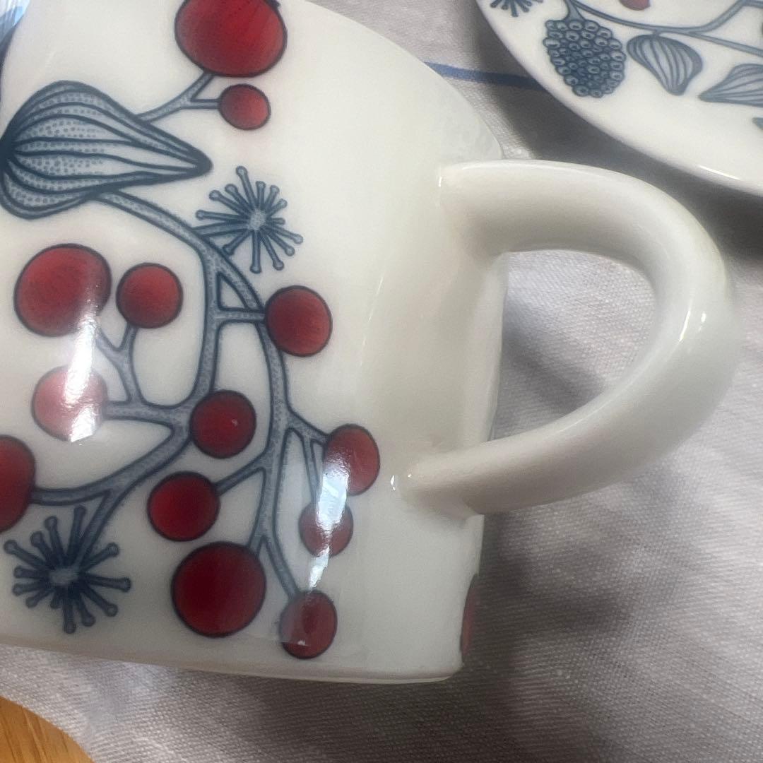 アラビア　ルノフロストベリー