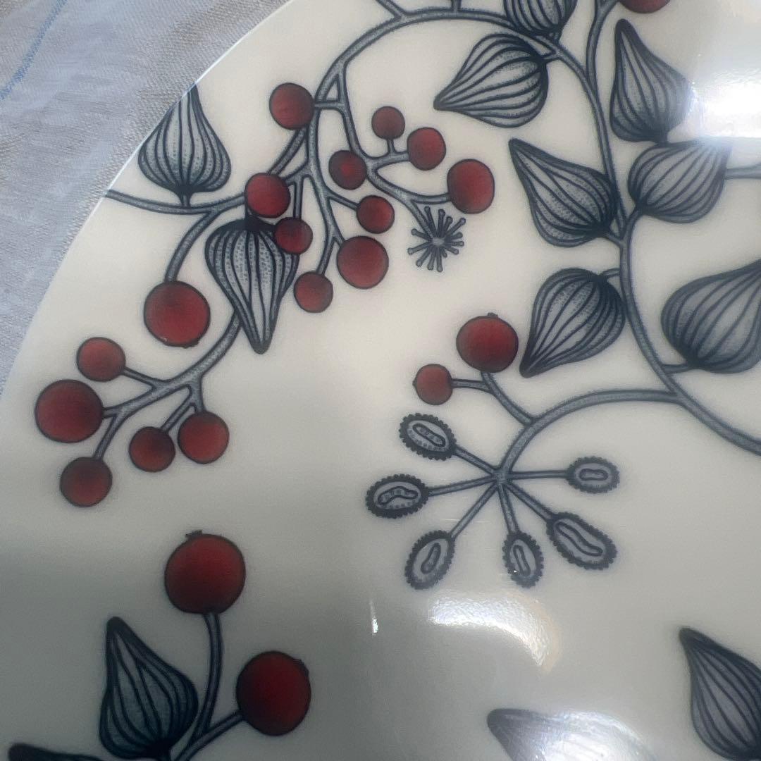 アラビア　ルノフロストベリー