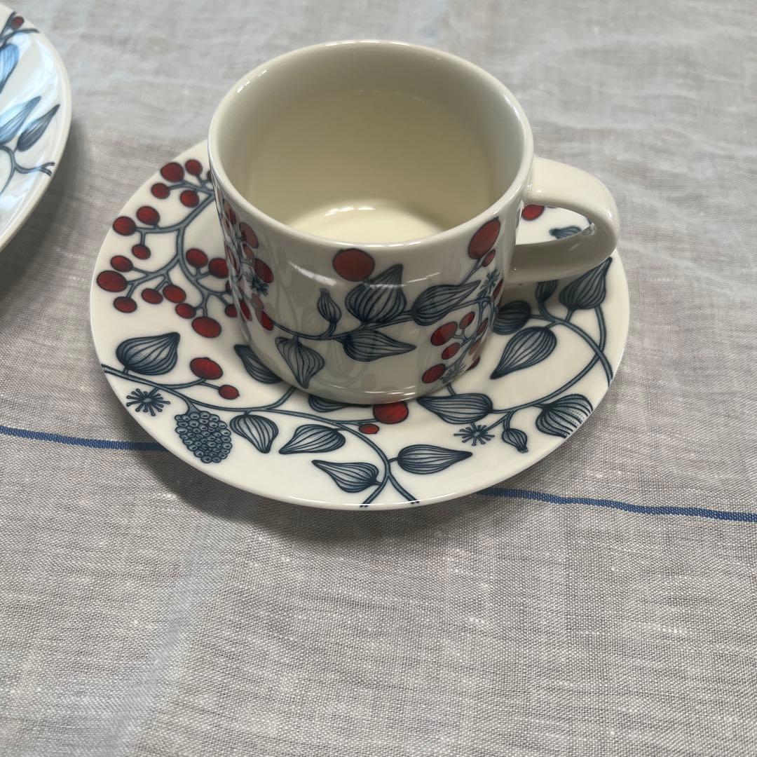 アラビア　ルノフロストベリー