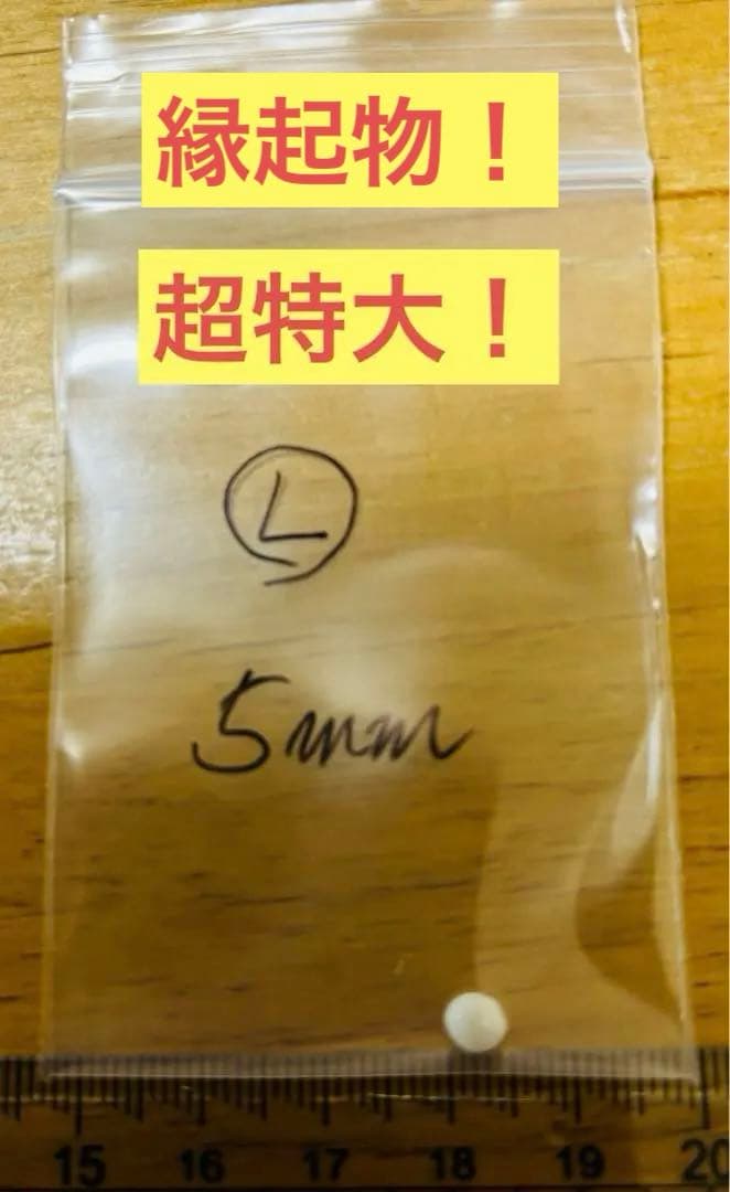 真珠 スキャロップパール パール ホタテ 天然 宝石 材料 pearl 珠宝