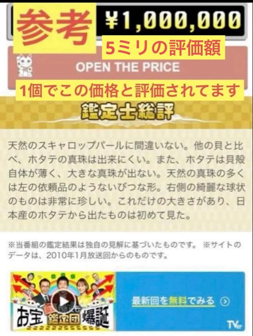 真珠 スキャロップパール パール ホタテ 天然 宝石 材料 pearl 珠宝