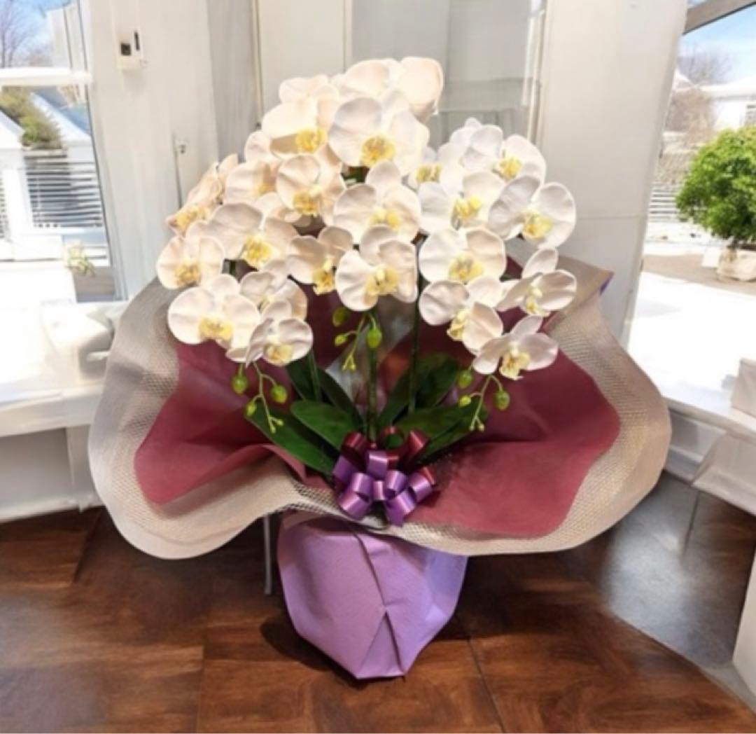 光触媒　人工観葉植物　ウォールグリーン　フェイクグリーン　リアル胡蝶蘭w'