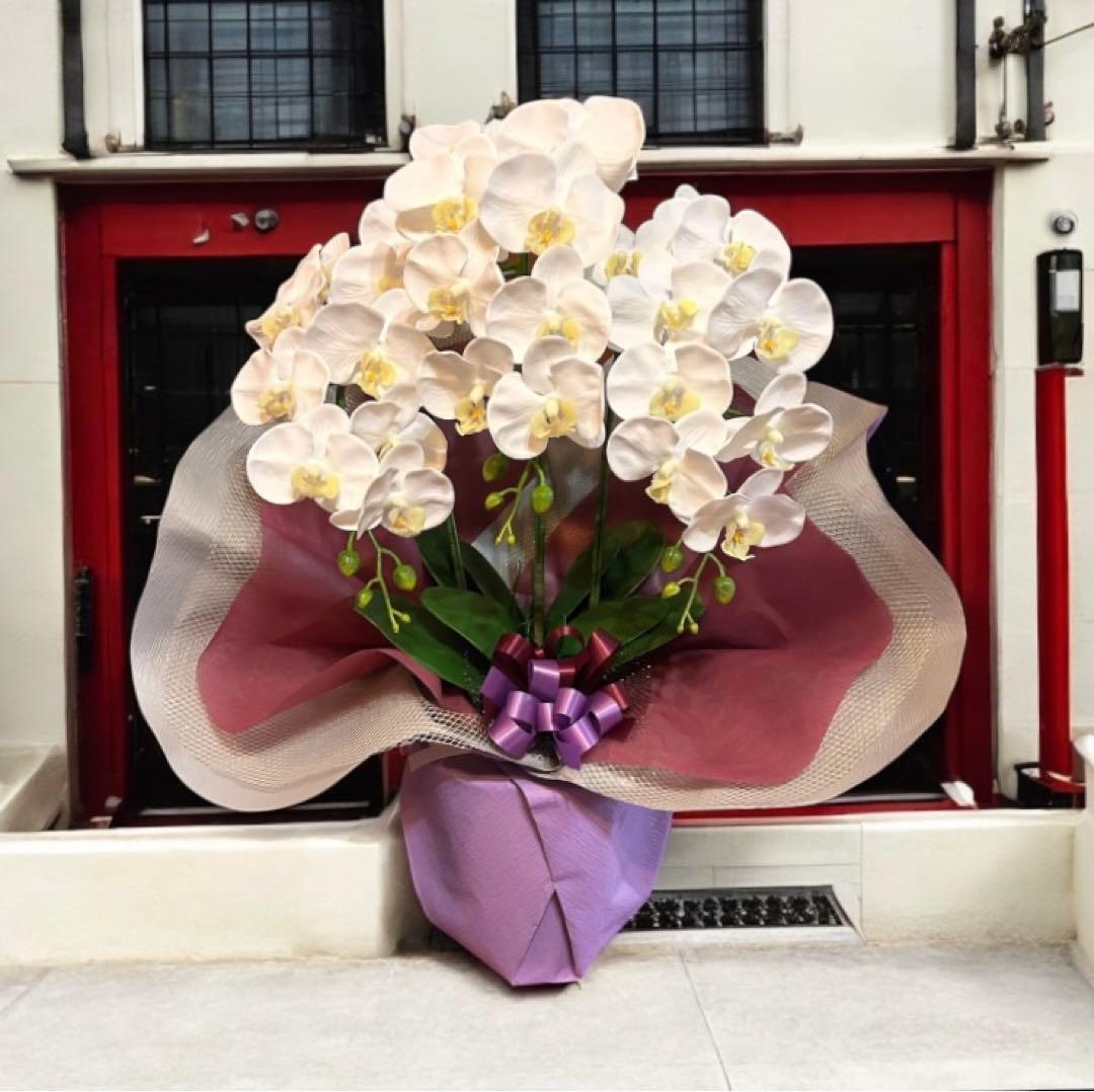 光触媒　人工観葉植物　ウォールグリーン　フェイクグリーン　リアル胡蝶蘭w'