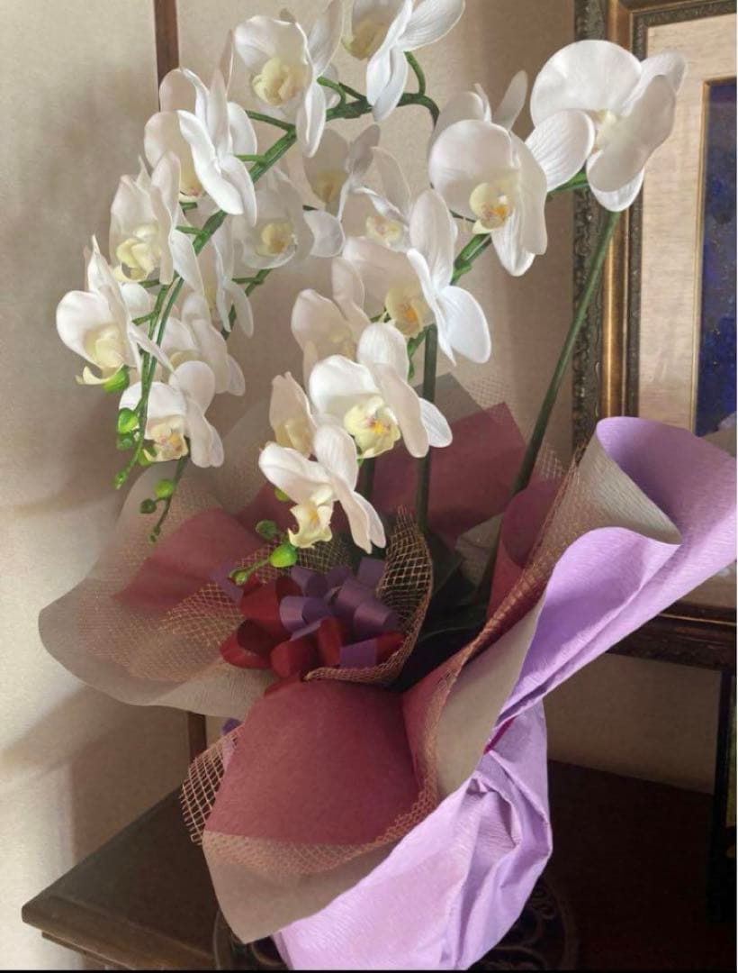 光触媒　人工観葉植物　ウォールグリーン　フェイクグリーン　リアル胡蝶蘭w'