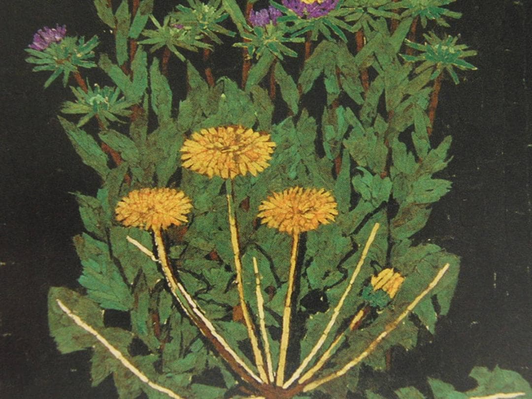 山下清、【アスターとたんぽぽ】、希少な額装用画集より、美品 - メルカリ