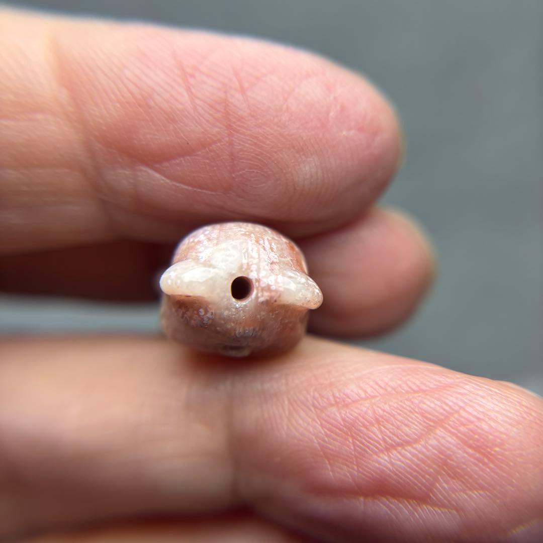 あずきちゃんフォッシルコーラル　クマパーツ　1-154