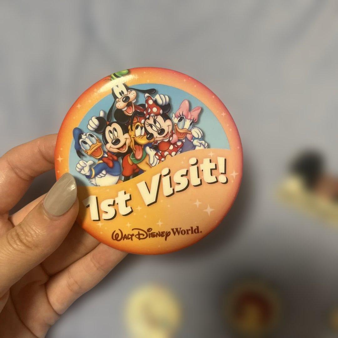 最終値下げ 海外ディズニーワールド ピンバッジ&缶バッチ 8個セット