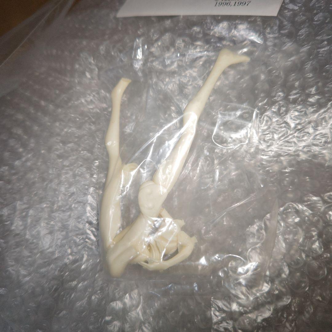 DEAD OR ALIVE　レイ・ファン　ガレージキット　未組立