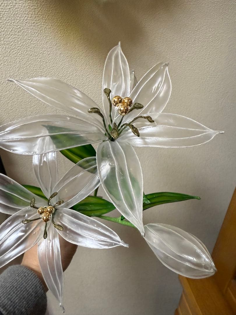 もりのくまさん@です❣️