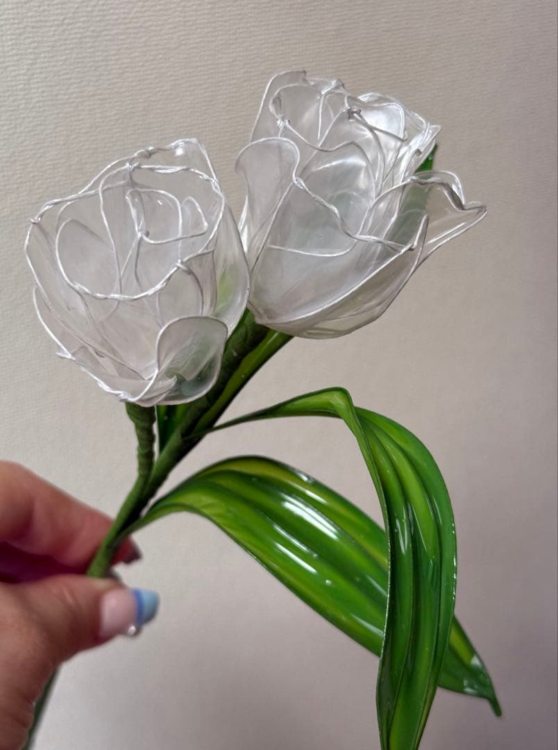 もりのくまさん@です❣️