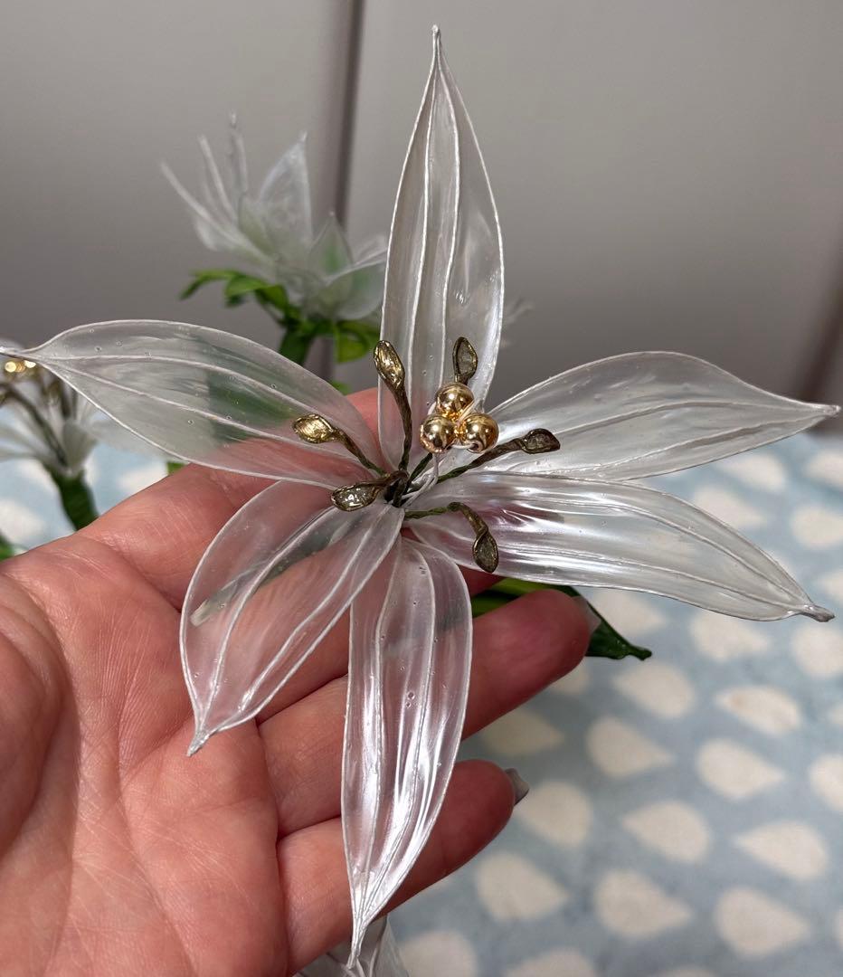 もりのくまさん@です❣️