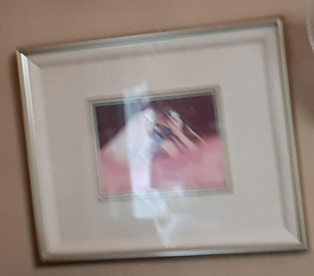 七宝 有名な先生の 絵です です