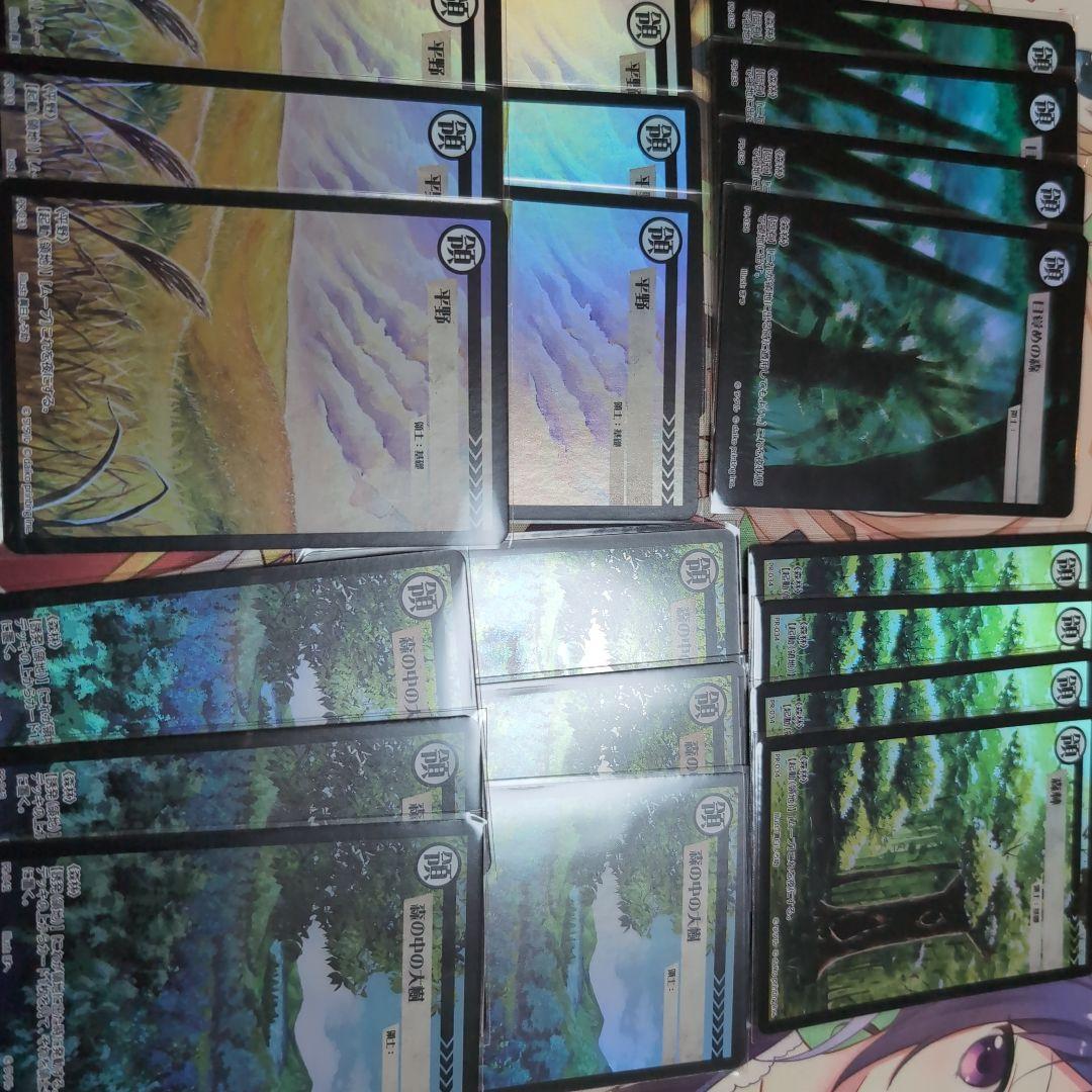 大量追加しました】アニマルカードゲーム 領土カードPR クラファン限定