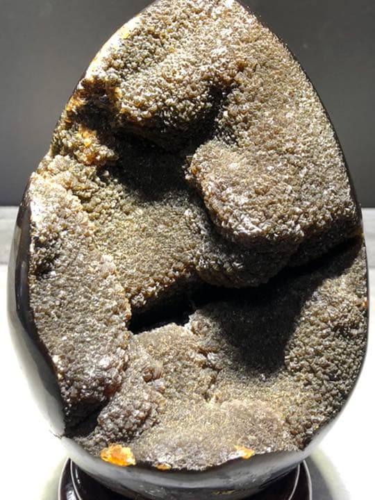 セプタリアン 特大サイズ卵