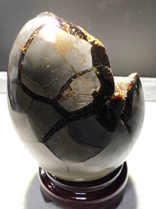 セプタリアン 特大サイズ卵