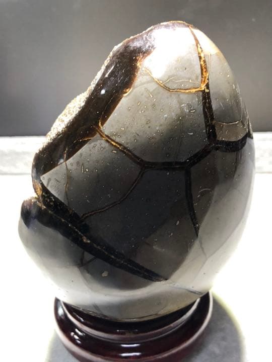 セプタリアン 特大サイズ卵