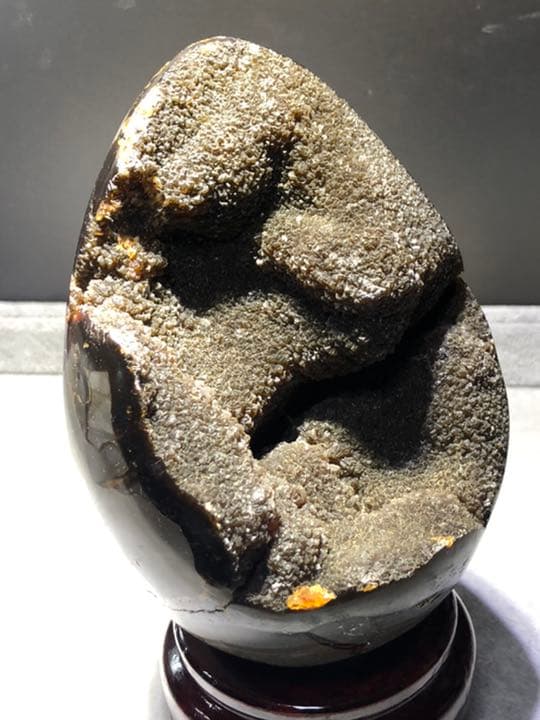 セプタリアン 特大サイズ卵