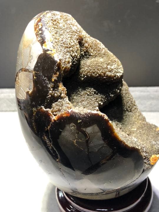 セプタリアン 特大サイズ卵