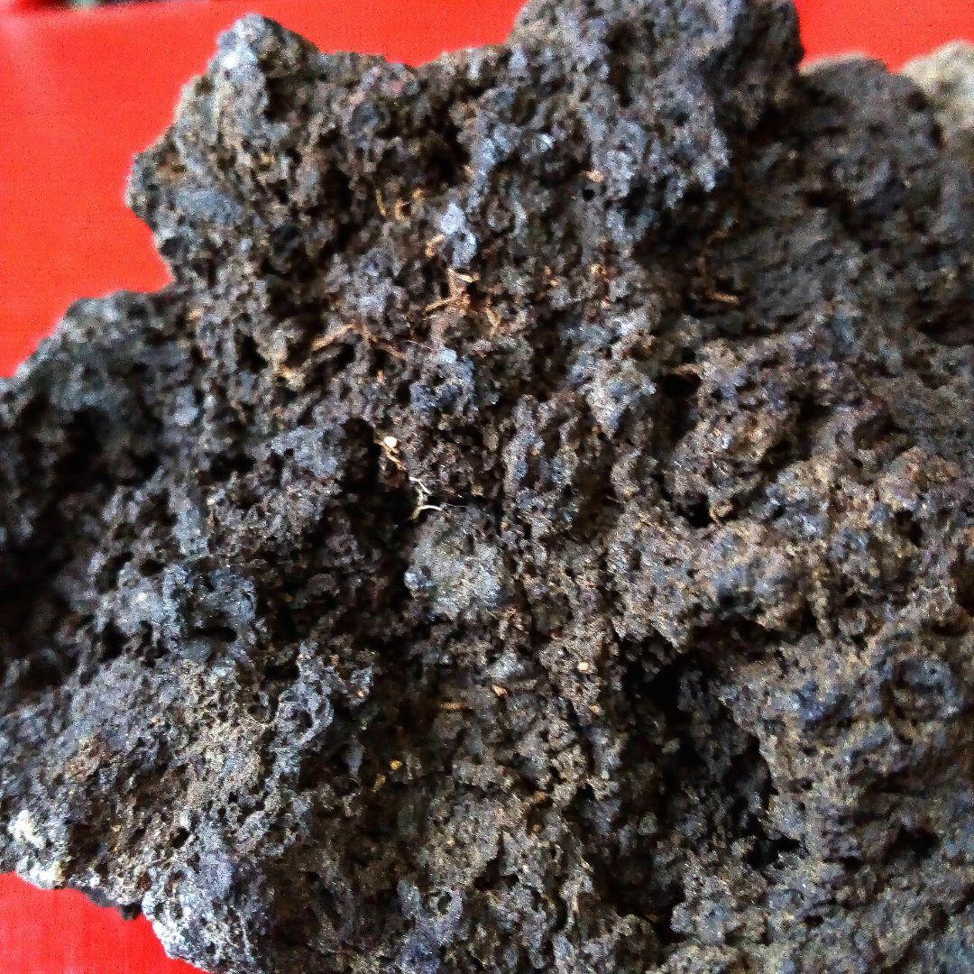 黒溶岩石　盆栽　ミニチュア庭園　アクアリウム