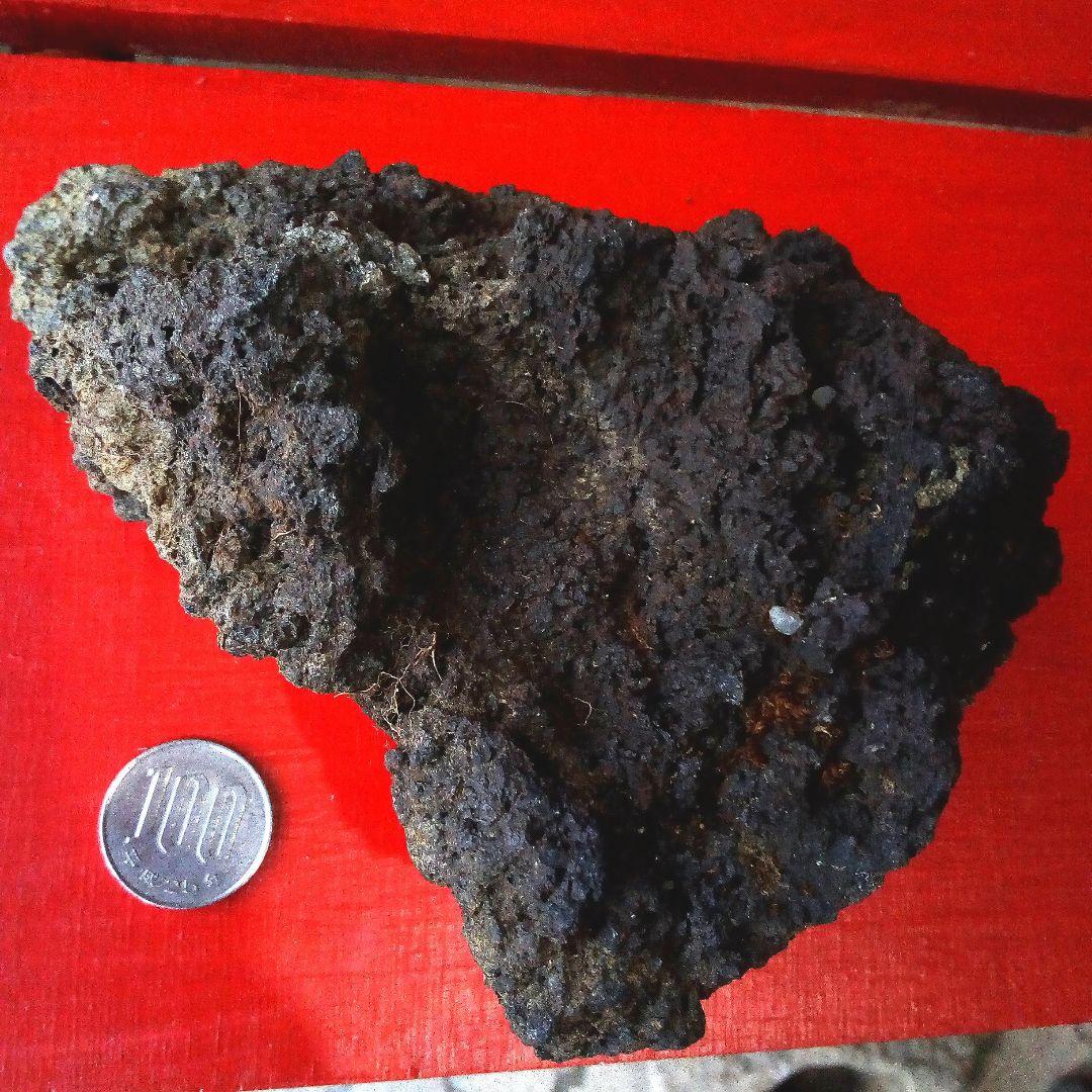 黒溶岩石　盆栽　ミニチュア庭園　アクアリウム