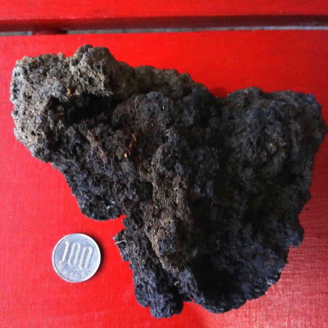 黒溶岩石　盆栽　ミニチュア庭園　アクアリウム