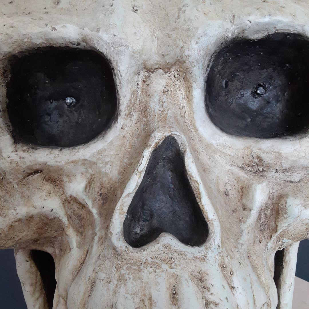 【BIGサイズ/スカル】商品番号230