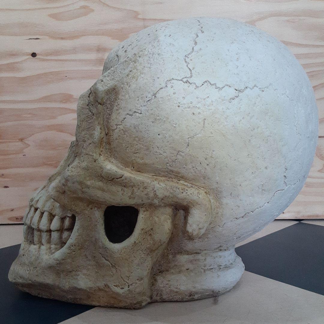 【BIGサイズ/スカル】商品番号230