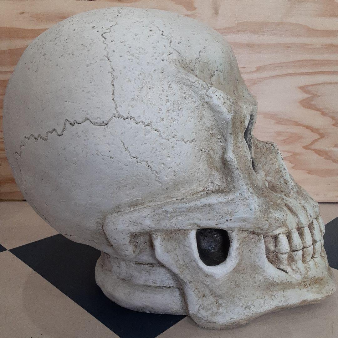 【BIGサイズ/スカル】商品番号230