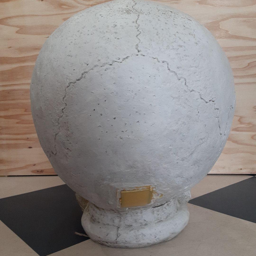 【BIGサイズ/スカル】商品番号230