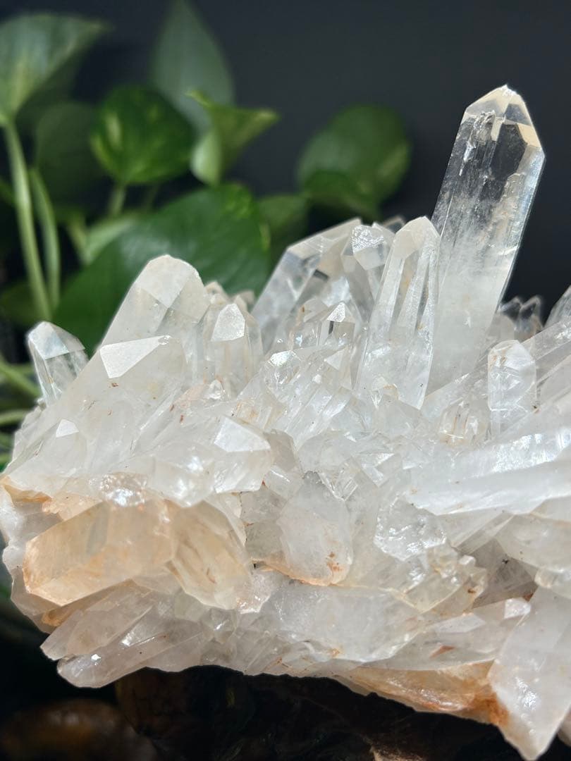 スター大物‼️【爆レア‼️　聖美‼️ 結晶‼️】マニカラン産ヒマラヤ水晶クラスター